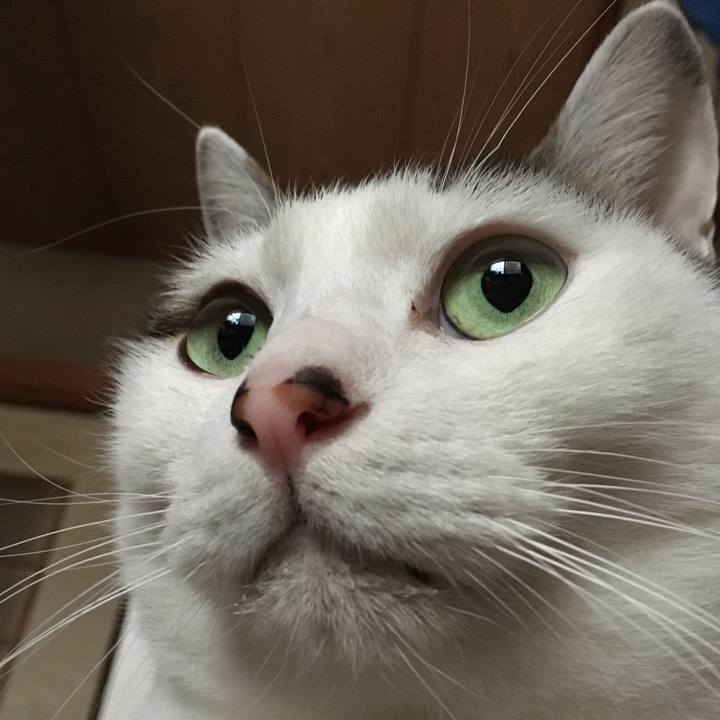 7cfa30e7 8090 425a aabe c545b66e29a5