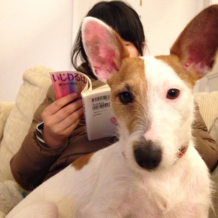 7cfa6dac 9ae8 4ceb a014 56f0b48d3e0b