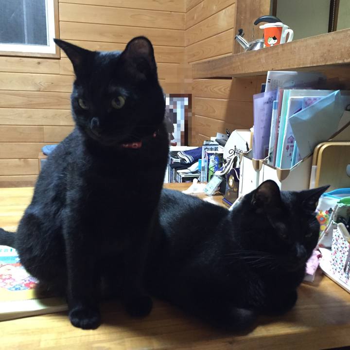 7cfb4c14 eea5 4c93 84c4 0c7b5d97703a