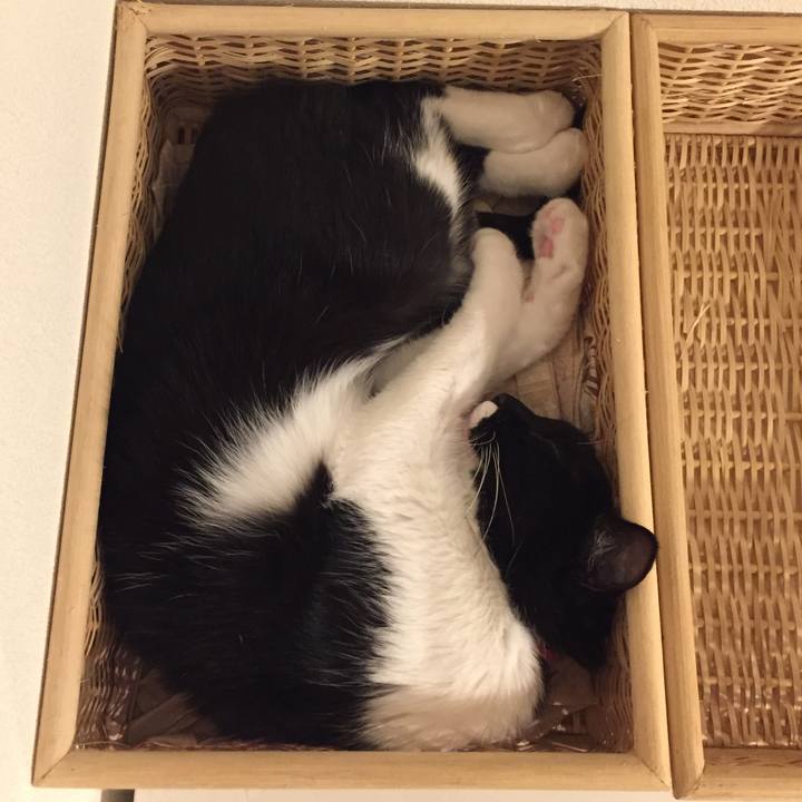 7cfb94d3 0afe 4236 93e3 d8ab27558fc6