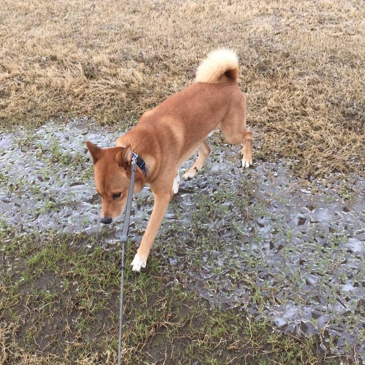 7cfc946d 6e97 497c 91da 860563bed1ce