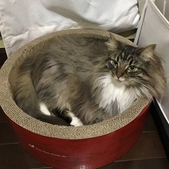 7cfcfcea 75c2 4f92 ab75 0f79328cccf1