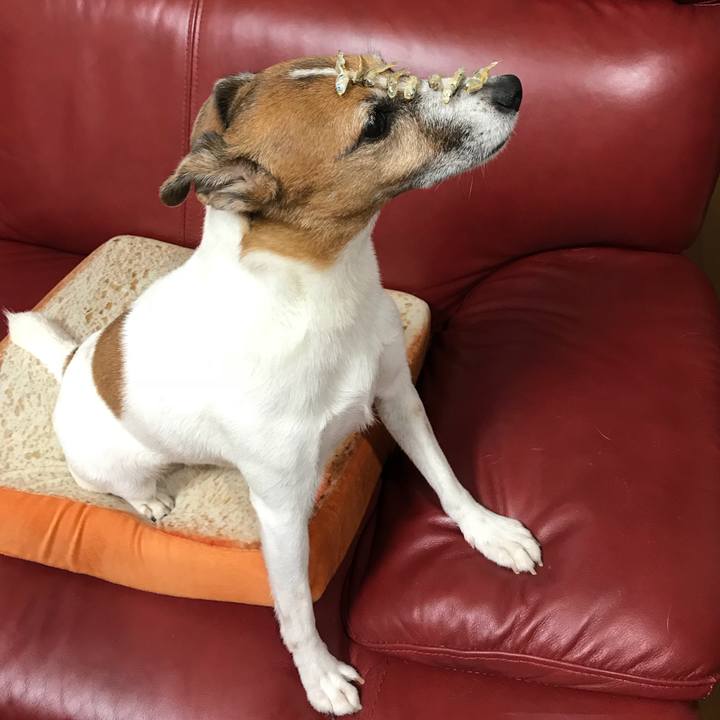 7cfd3e84 048b 4047 aafe 564071d399df