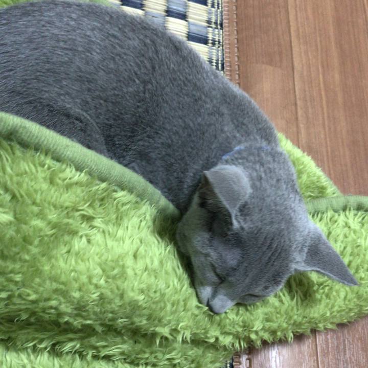 7cfd7cfe d21c 4783 9dd2 f037b0c0e9d4