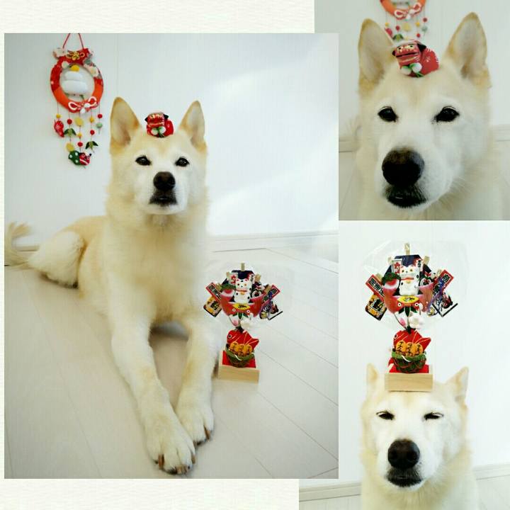 7cfde8dc b31c 424c bdee 715c8d05abd6