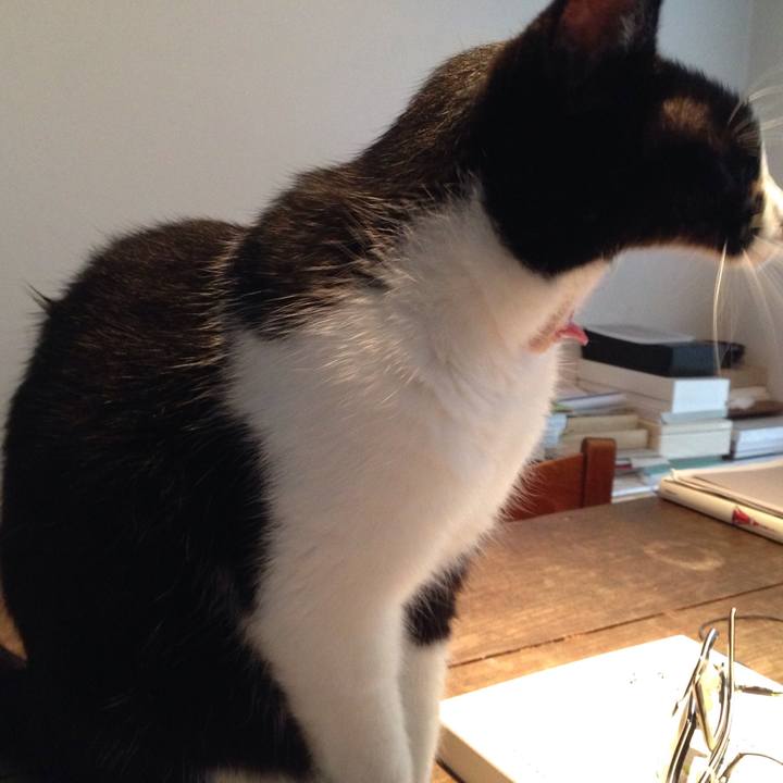 7cfe4ac9 76d2 497b a3a8 9741c9c0e335