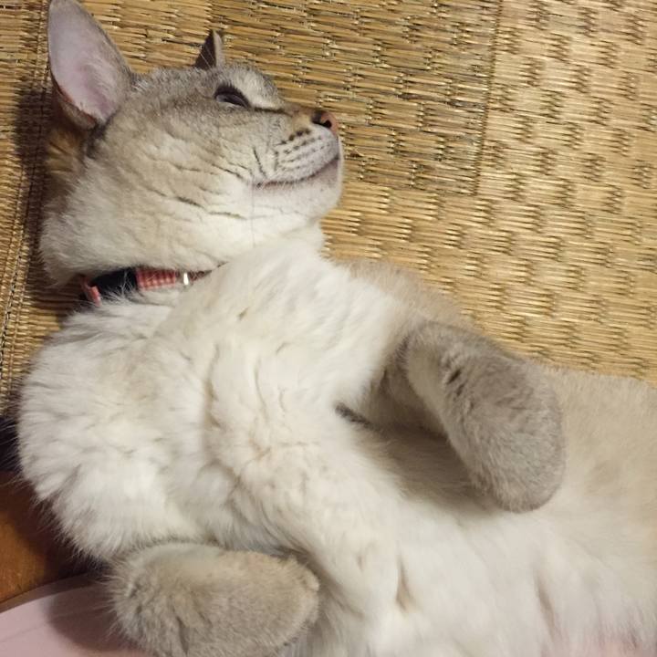 7cff113e 7262 486f bd60 7f72cb2834c7