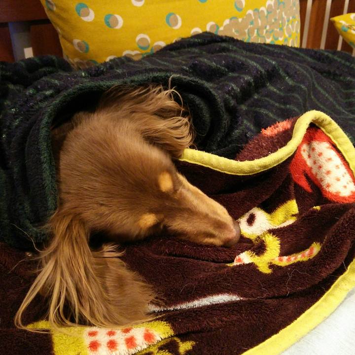 7cff4208 4ccb 492d 926c df47e2746008