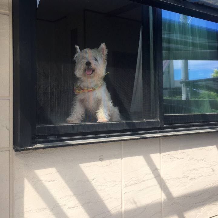 7cff43f2 dd36 426e a3e8 dcc9a830acff