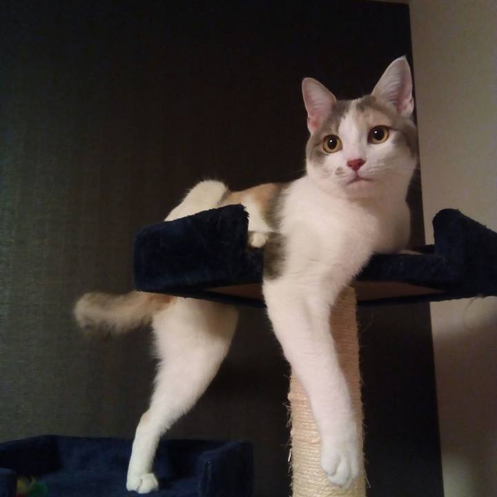 7cffc29b 14cb 493b bf45 ccb3476ded4e