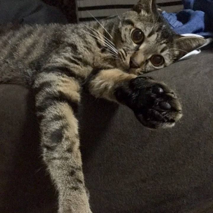 7cffd271 9686 4b78 b4a5 e4ca0c6af1ca