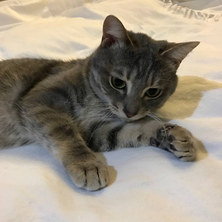 7cffed18 c849 4771 aa15 600ecc6ddfa4