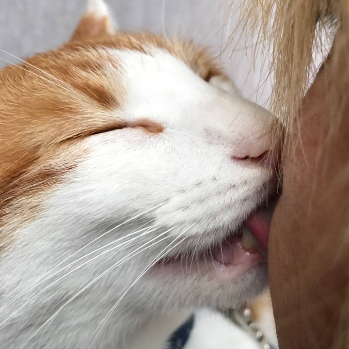 7d006734 672f 4f08 a73c b08a003d7768