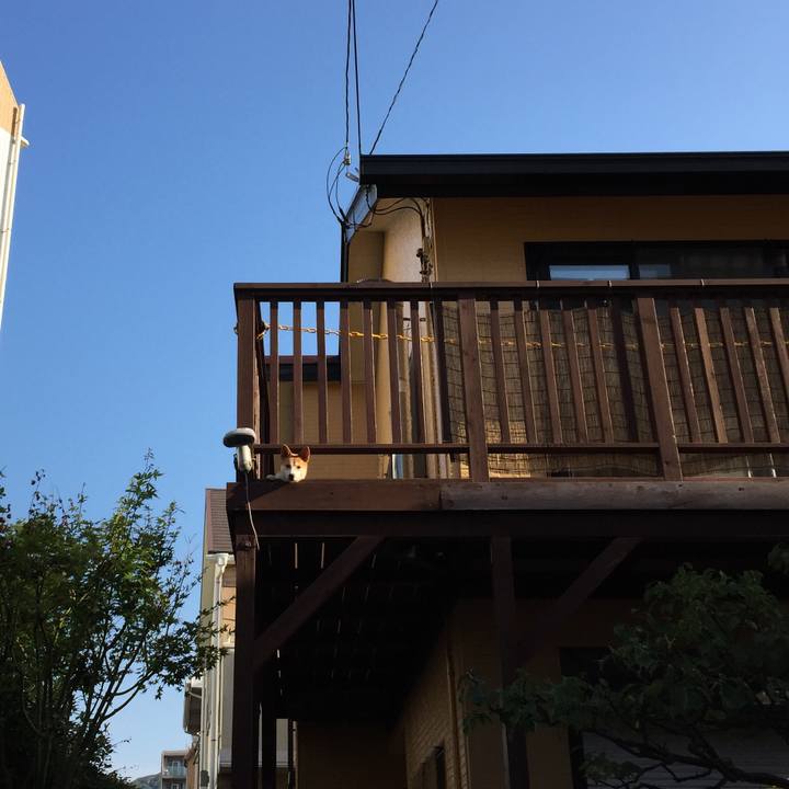 7d00f225 4439 4026 b432 d2bd404050eb