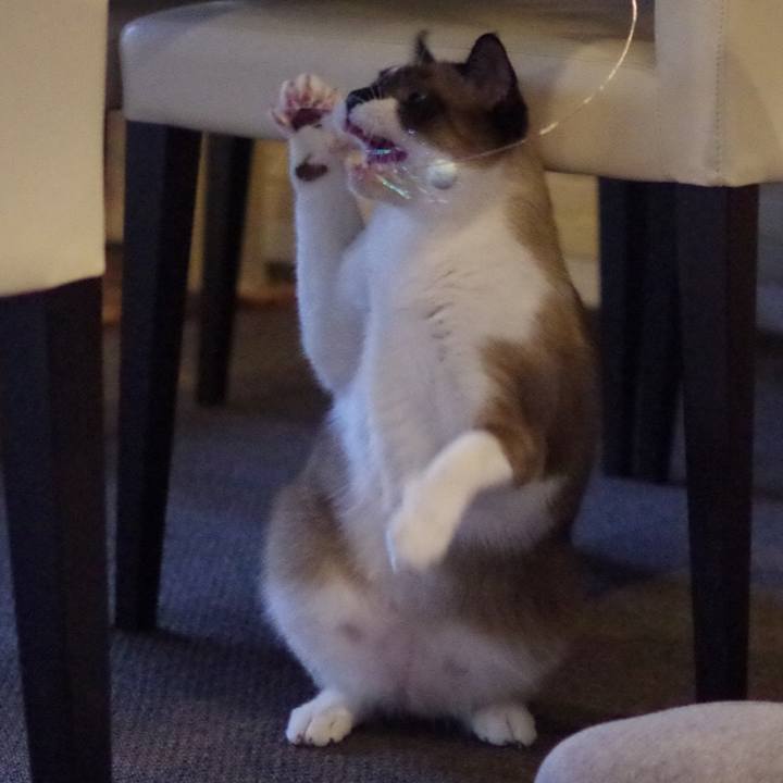 7d00fbf5 5d84 4ab0 97b8 0e9d32ff6ce5