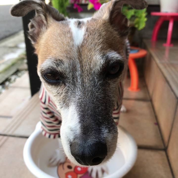 7d0105c3 2f90 4e2e 8abf e7b91cd12cc3