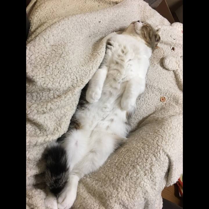 7d018c5c 8409 4dff bc17 31cb03cda0f0