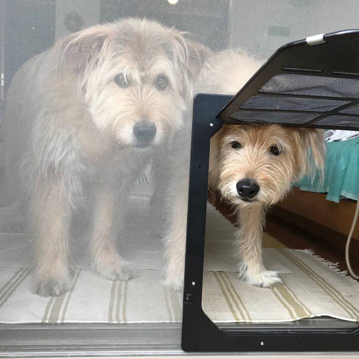 7d01ebf4 0a1e 4e6e 9e16 1eec5980f607