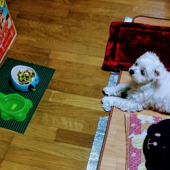 7d023e2e 835e 4e0f add6 6a423930ce64