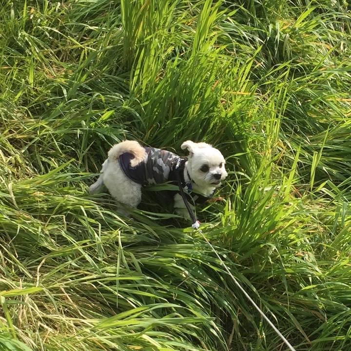 7d023eaa 560d 4d2a 83ed 1a7ce605ec1e