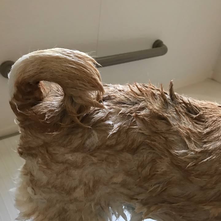 7d027543 5ddf 45e6 a8c6 62106cc5f323