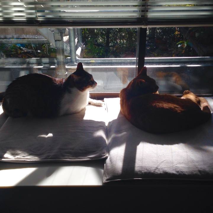 7d02b983 cd03 466b 8772 1f4193c98b9a