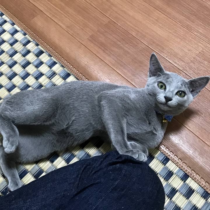 7d02d27f 0c8b 43e6 8756 a6a197e1f75e