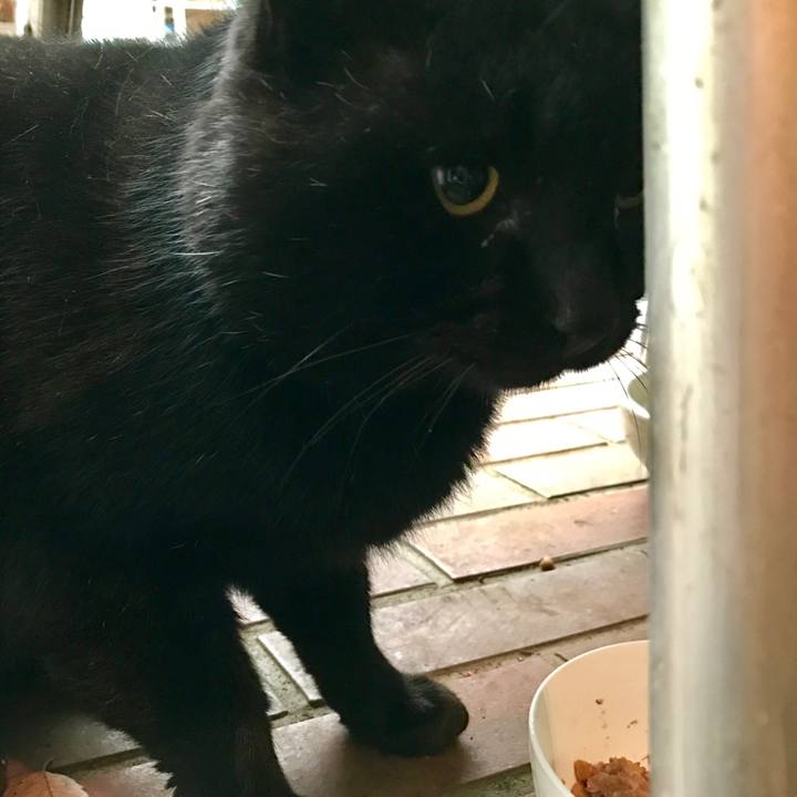 7d02e3ef 978a 4092 8ef7 9e04a73b5476