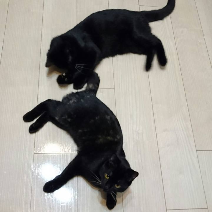 7d045469 50d4 4963 8ed6 f7eff34ff1d6