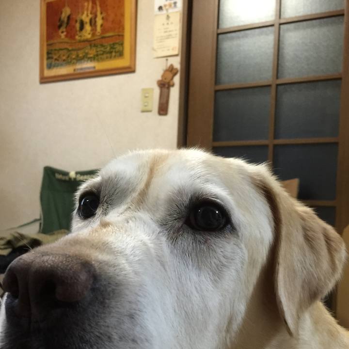 7d04b8f1 9697 42e4 8825 5bde0cc6a17a