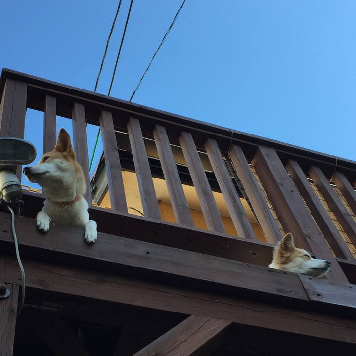 7d04f850 9c8d 45c4 8816 9a0497b06311