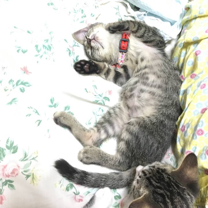 7d050101 7306 4c66 a2c5 17ce8d07b959