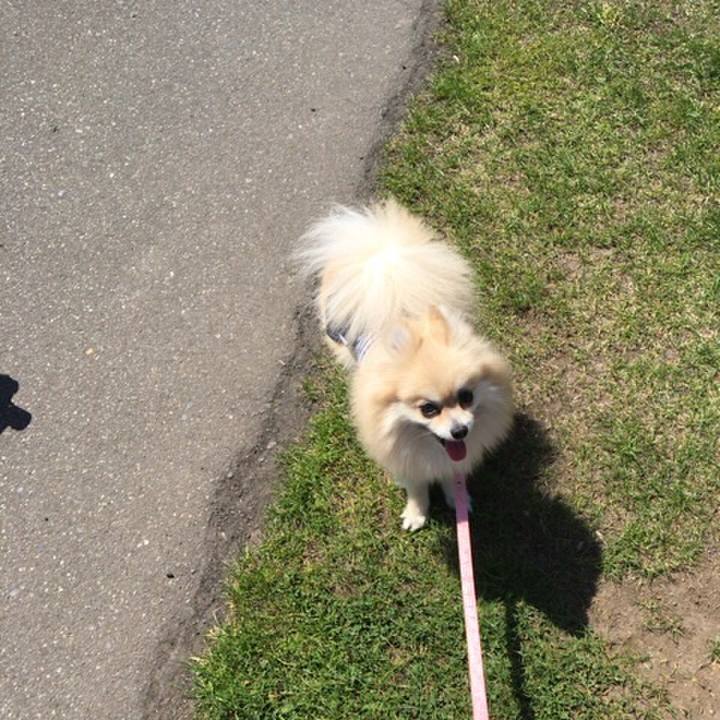 7d055197 dfb7 4158 8612 8faf26b08a68