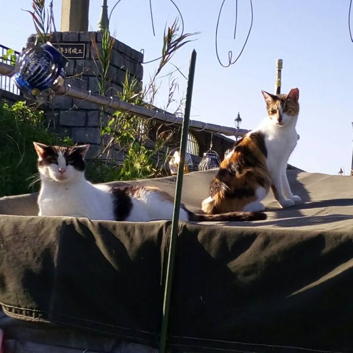 7d05be81 2adb 4af0 83ea 134457035b25