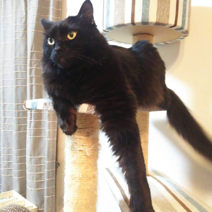 7d070ad4 c680 4080 ab20 ad6e6d7881c1