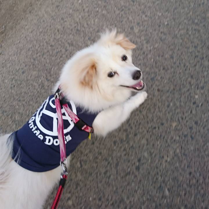 7d0770a5 773a 472e b5e2 feb2e56ad5fd