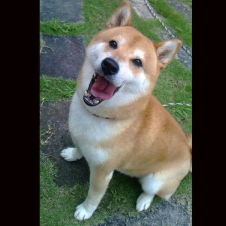 7d0785b2 7e79 45a7 9785 ae8dfde2e1ba