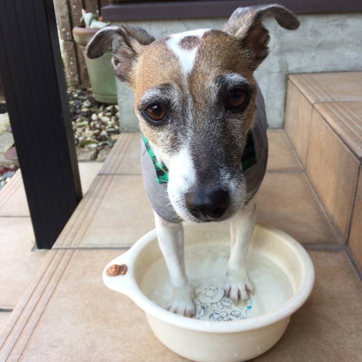 7d07eec1 d808 4f70 8be3 a7ddf13f0fa3