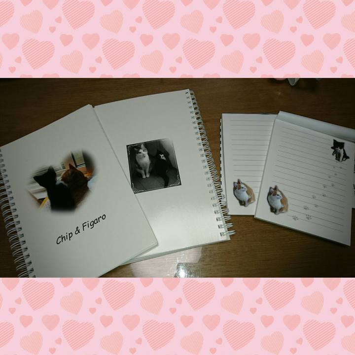 7d08947f 75e7 4f8a 977e b01388387fbc