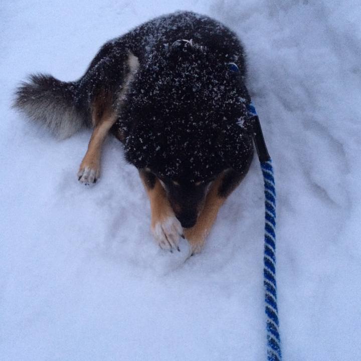 7d08e133 524e 4209 b303 5485f42f705f