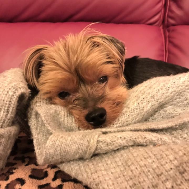 7d08eea1 6f7b 4be1 92a2 b15a2754adec