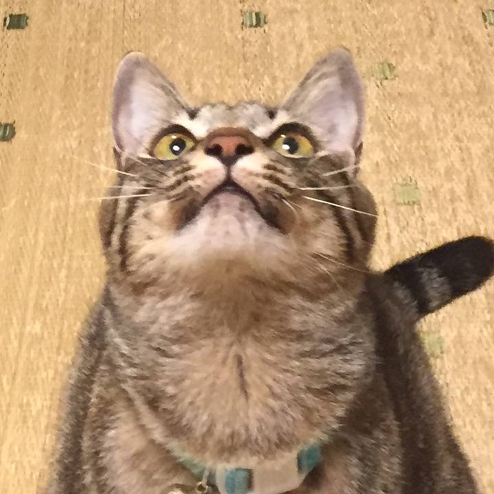 7d09049e 49e7 4e0d b283 bdcd5d7a8f54