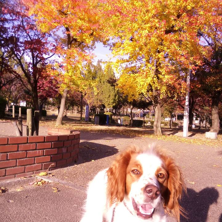 7d091ab8 2eed 4388 82b6 8e458c91c11a