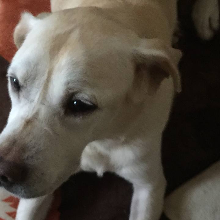 7d09251b ff48 4e27 a35f 4d1b459802f9