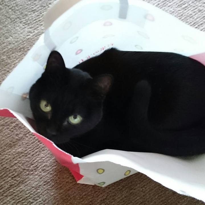 7d098ed0 29c6 491f 8a1c c1958047d2c6