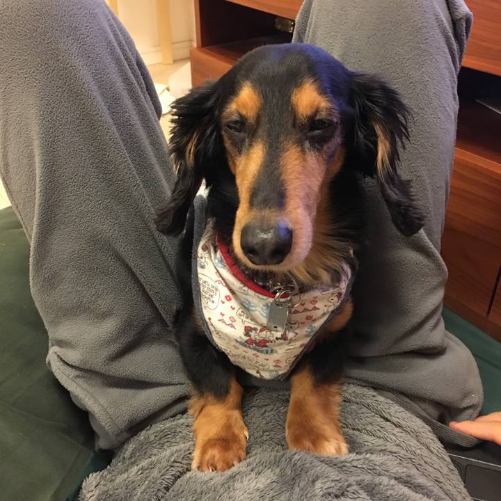 7d09bb51 8f36 412e b5d5 cff32fb6f9c7