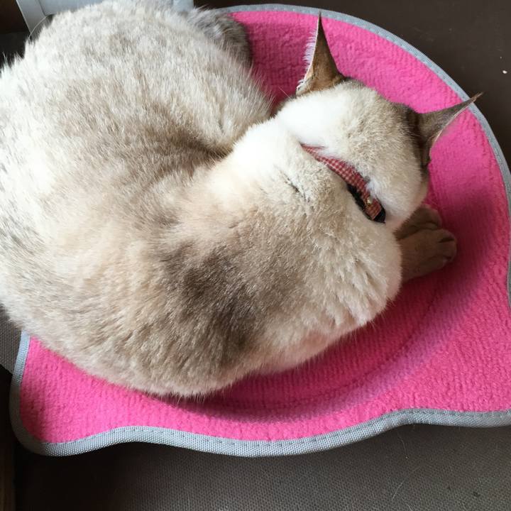 7d09f05e aee0 4594 ab00 6f4a447648e3