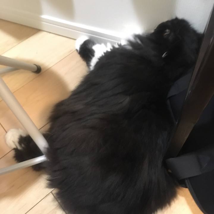 7d0a2bf5 94ae 4296 8202 fb34f5cba3bd