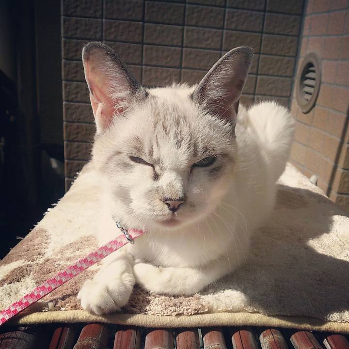 7d0a3303 b3cc 4433 b3c4 9098b251e948