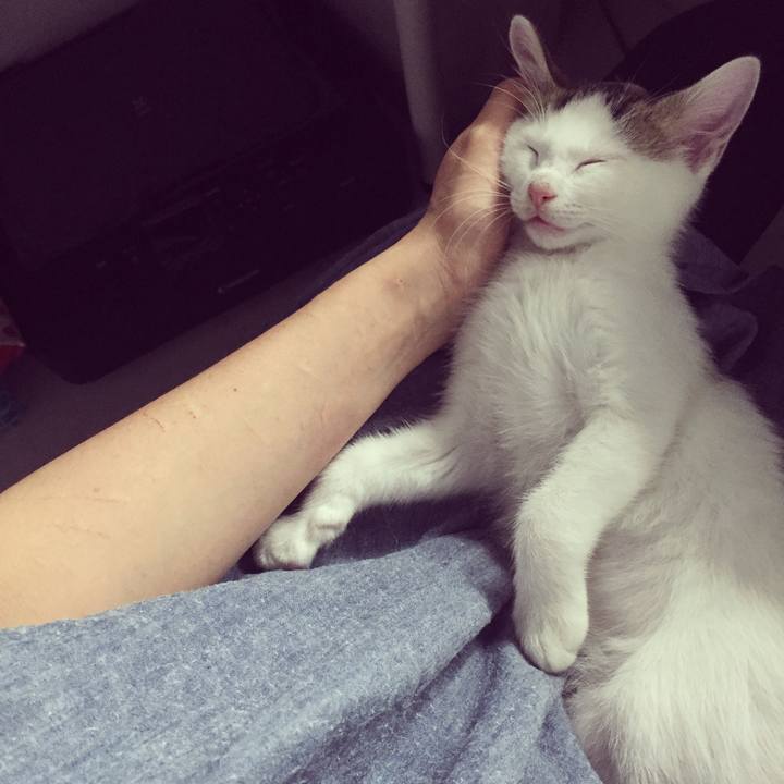 7d0aaaa9 613a 4f41 9fbf a39dea6490a8